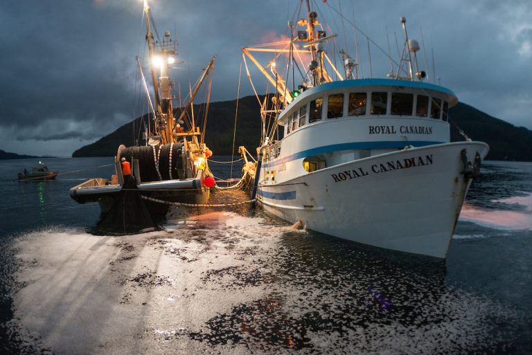 Community Spawn on Kelp fishery