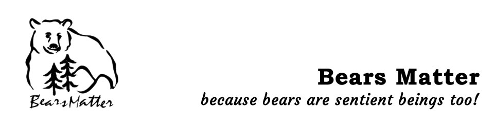 bears matter logo