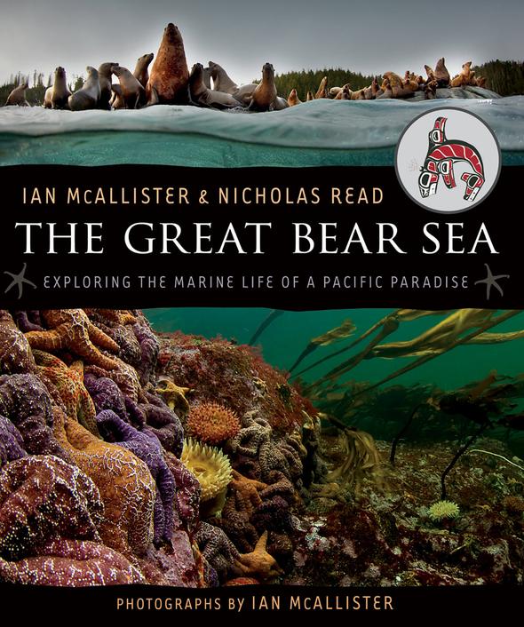 The Great Bear Sea
