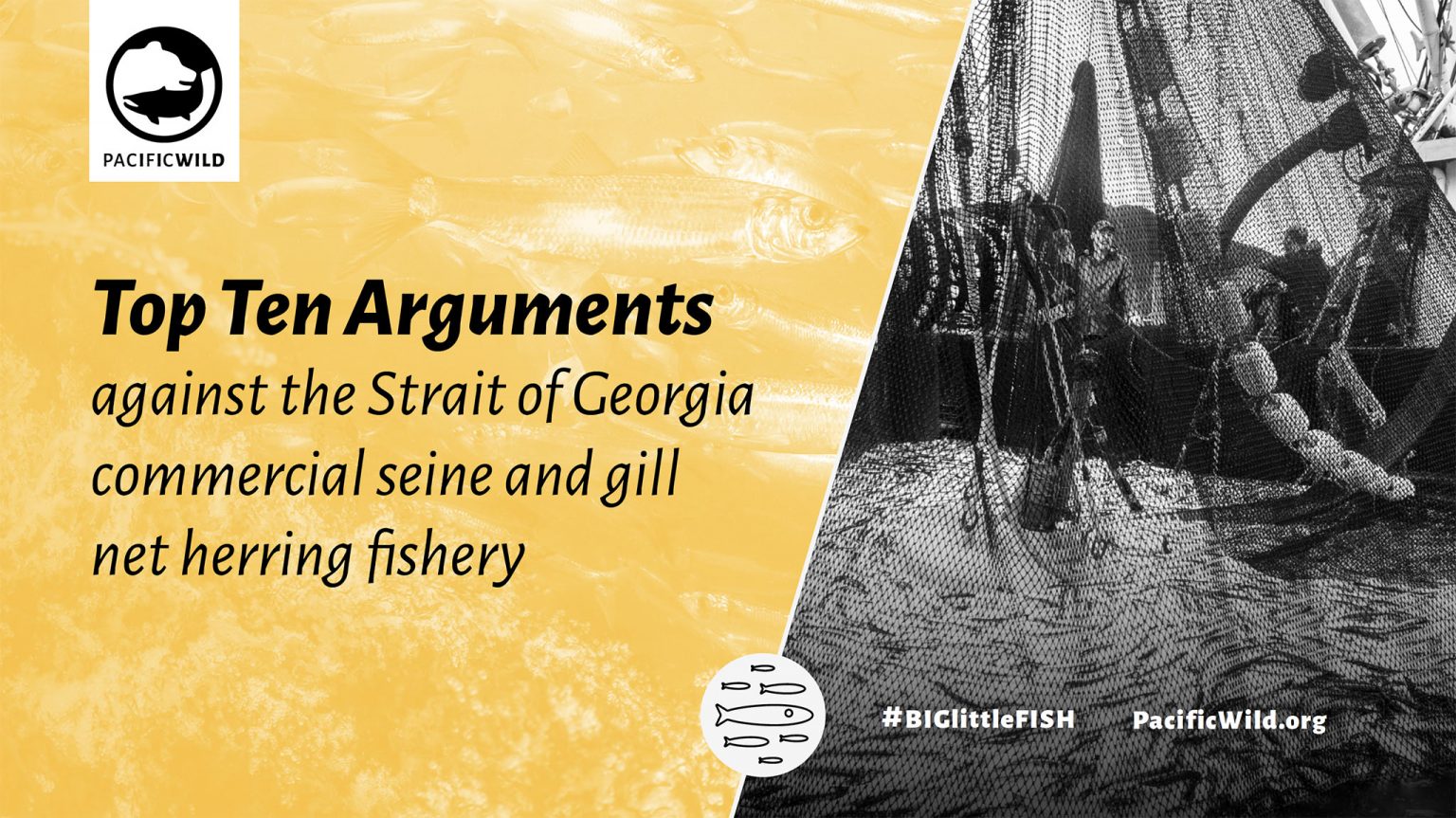 https://pacificwild.org/wp-content/uploads/2019/03/Top-Ten-Arguments-against-the-Strait-of-Georgia-herring-fishery