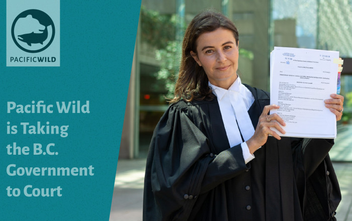 Pacific Wildis Takingthe B.C. Governmentto Court