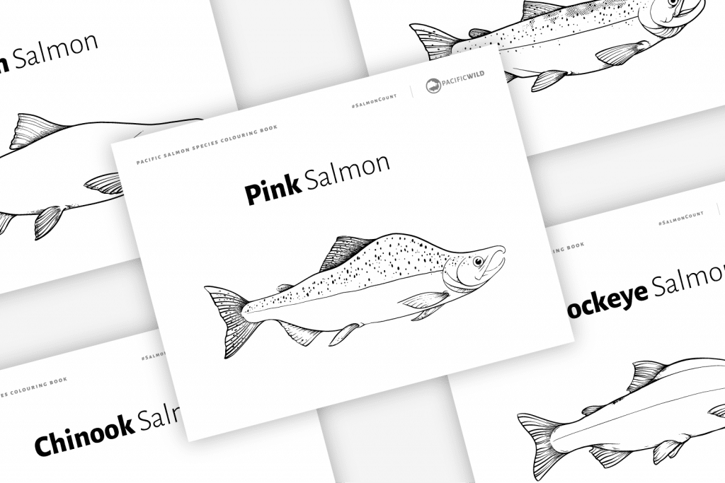 Barnes and Noble Salmon Coloring Book: Stress Relief Salmonidae