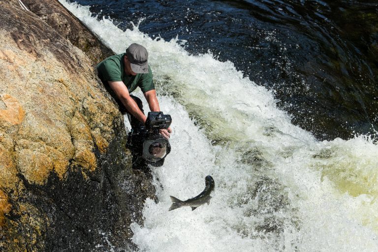 Ian McAllister filming a salmon stream