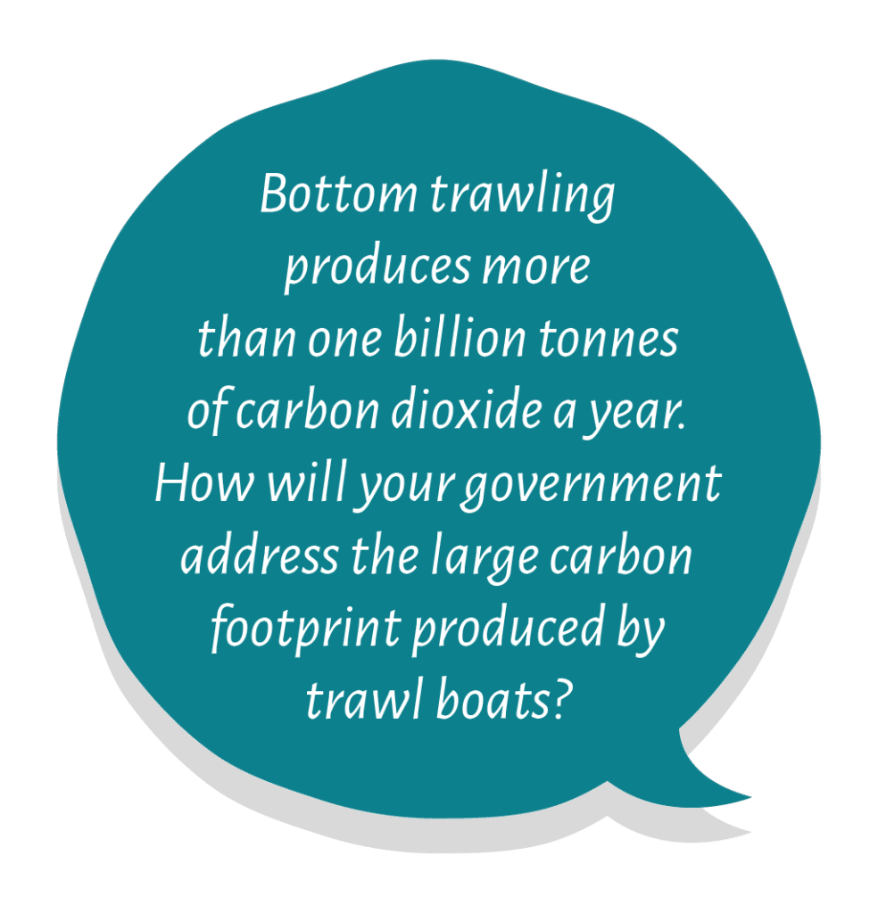Bottom Trawling Question 1