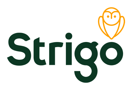 Strigo Mobile Satellite Internet