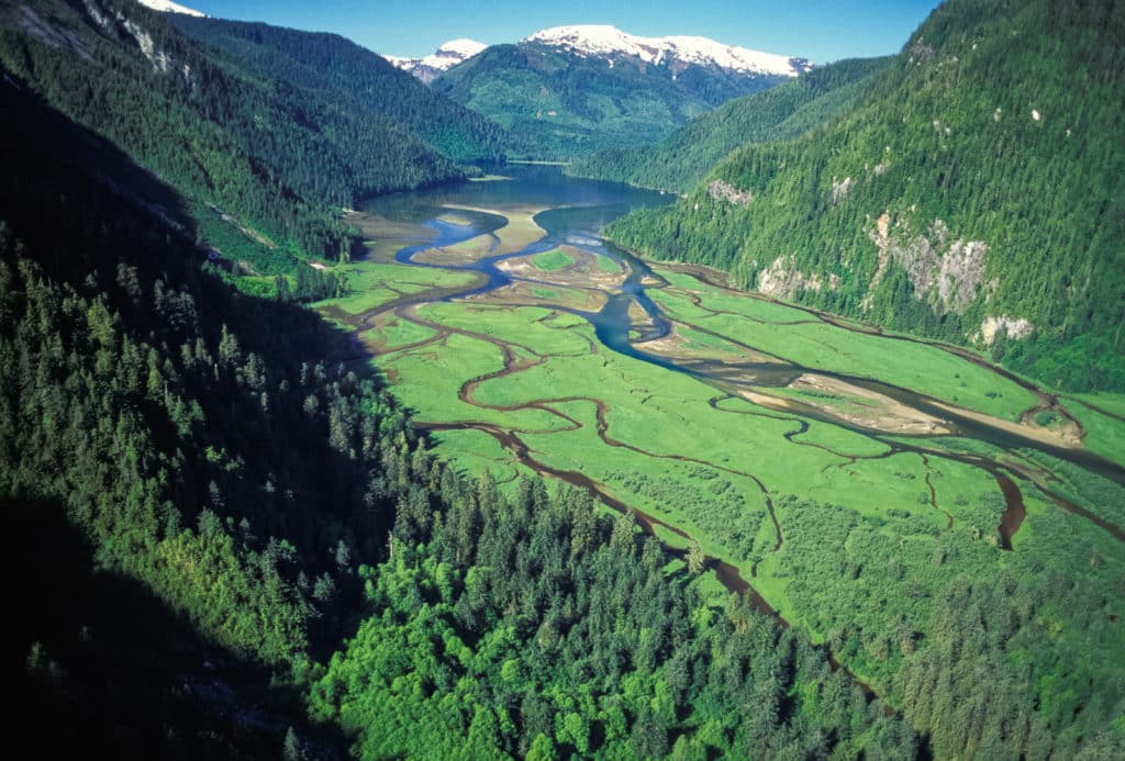 Great Bear Rainforest Conservation | BC