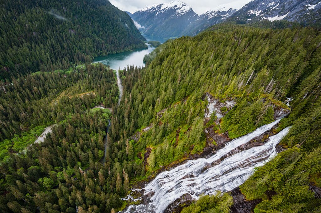Waterfall and B.C. coastal rainforest landscape
