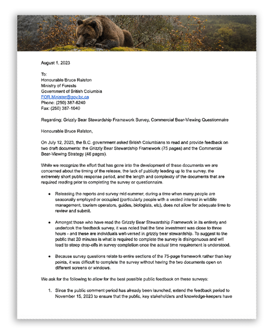 image of grizzly bear stewarship framework open letter