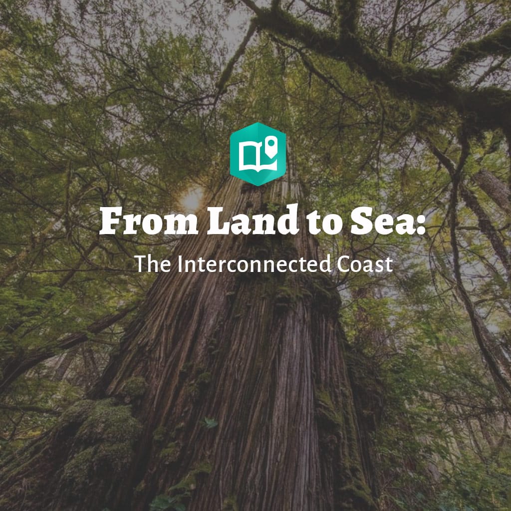 From Land to Sea: The Interconnected Coast